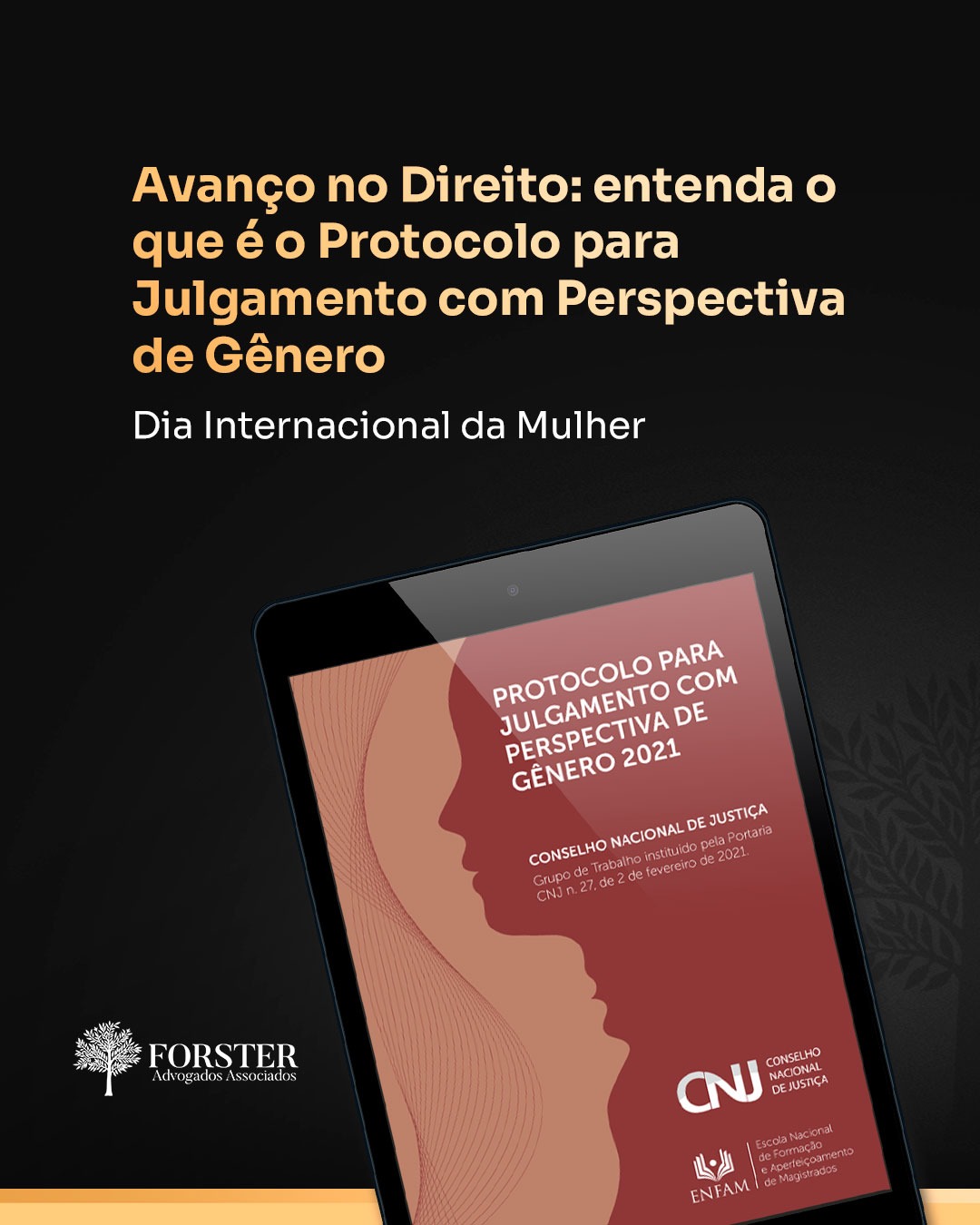 Protocolo para Julgamento com Perspectiva de Gênero e seus impactos no Judiciário